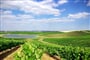 Foto - To nejlepší z Alenteja + VYHLÁŠENÁ PORTUGALSKÁ VÍNA