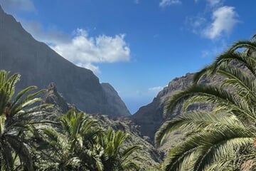 Puerto de la Cruz - Tenerife: Za velkolepým hadincem teidským