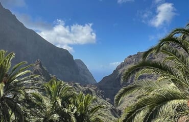 Puerto de la Cruz - Tenerife: Za velkolepým hadincem teidským
