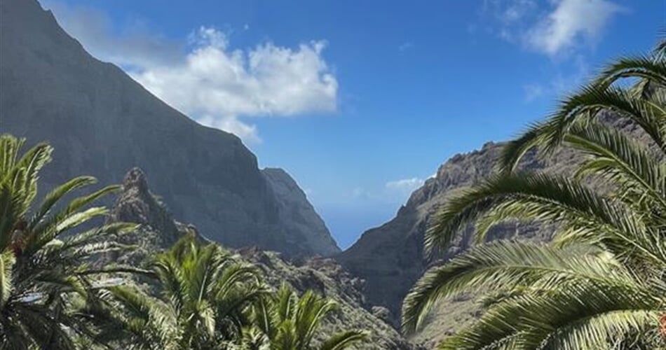 Teide Hadinec