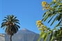 Pico del Teide 