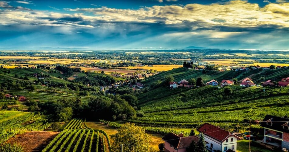 Peter_Sˇkrilec_Lendavske gorice