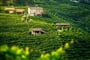 Foto - To nejlepší z Verony + LAGO DI GARDA + OCHUTNÁVKA ITALSKÝCH VÍN A PROSECCA