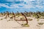 Foto - To nejlepší z Algarve + NEJKRÁSNĚJŠÍ PORTUGALSKÉ PLÁŽE + FARO