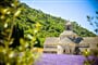 Foto - To nejkrásnější z Provence + CANNES