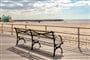 Foto - To nejlepší z New Yorku + PLAVBA K SOŠE SVOBODY + KOUPÁNÍ NA CONEY ISLANDU