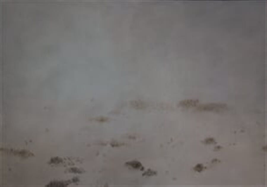Landscape I (180x130 cm) — Jan Dungel