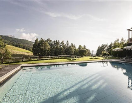 Alpin Relax Chalet Tianes, Castelrotto (6)
