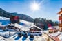Alpin Relax Chalet Tianes, Castelrotto (10)
