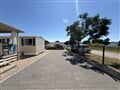 46