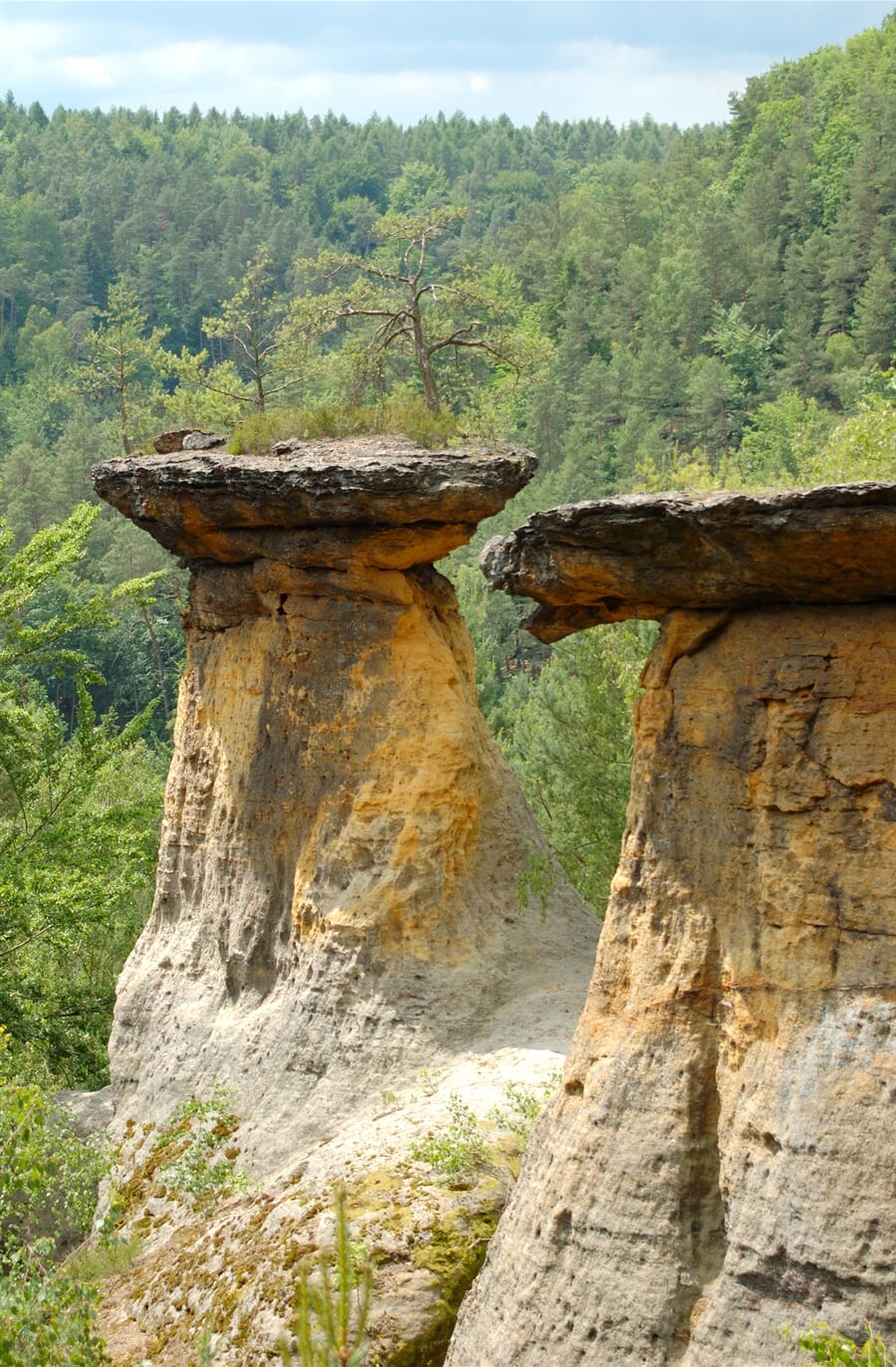 Mšenské poklička – CHKO Kokořínsko
