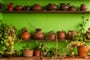 Foto - To nejlepší z ostrova La Gomera + TURISTIKA + SPECIALITY KANÁRSKÉ GASTRONOMIE