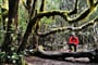 Foto - To nejlepší z ostrova La Gomera + TURISTIKA + SPECIALITY KANÁRSKÉ GASTRONOMIE
