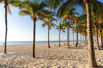 Yucatán & Holbox