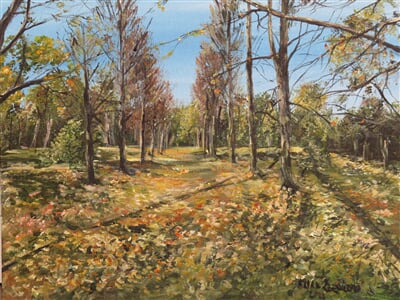 Podzimní alej v Hrušovanech nad Jevišovkou 01