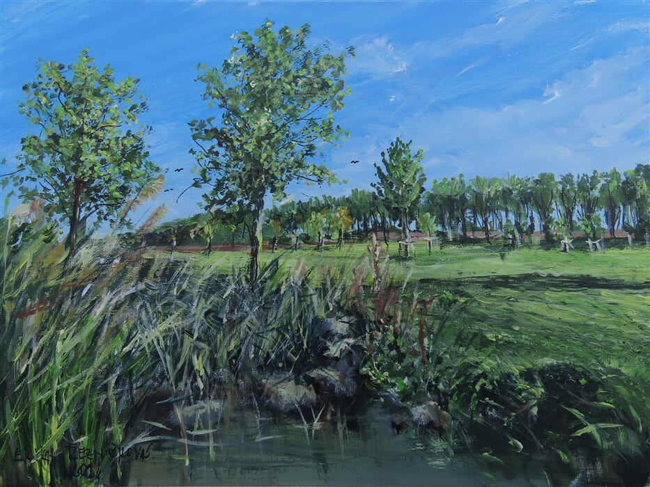 Erika Řezníčková – Mokřady v Hrušovanech nad Jevišovkou (50×40 cm)