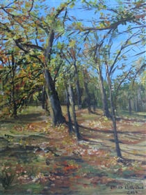 Podzimní park v Hrušovanech nad Jevišovkou