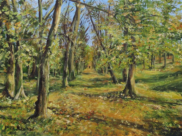 Podzimní park v Hrušovanech nad Jevišovkou