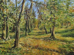 Podzimní park v Hrušovanech nad Jevišovkou