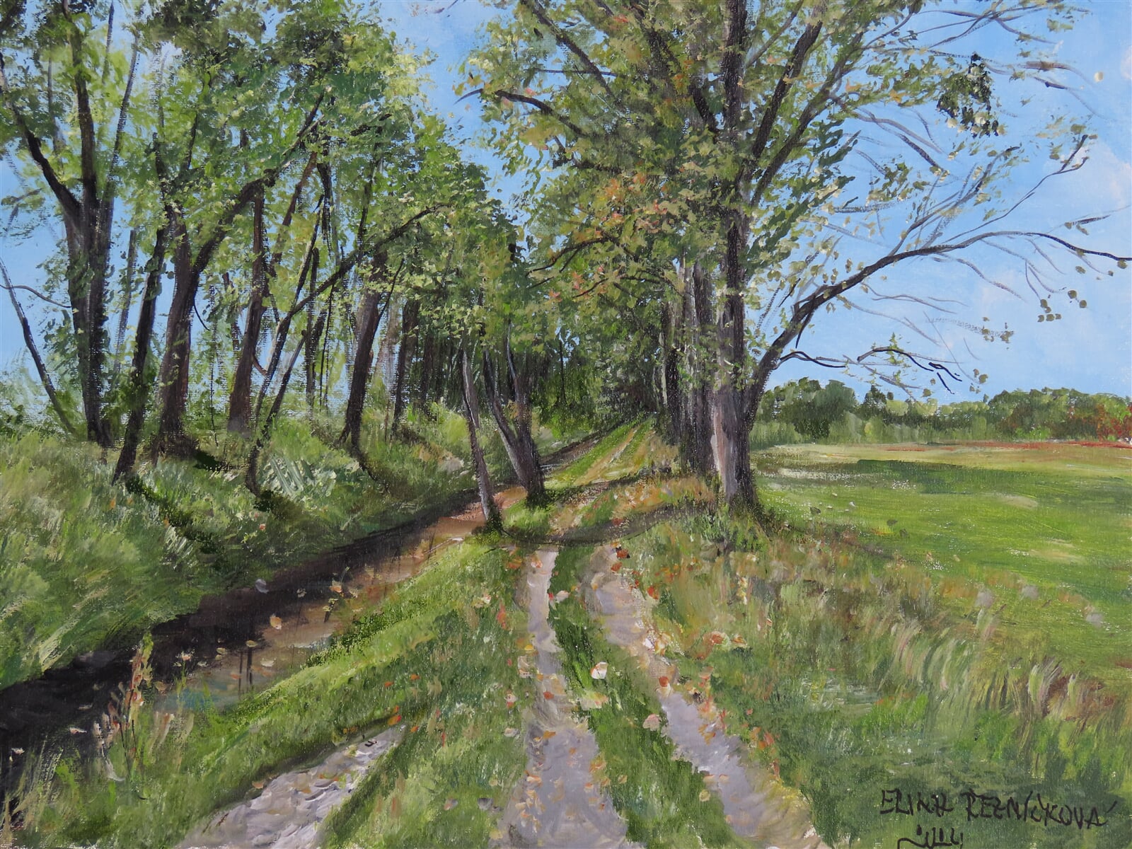 Erika Řezníčková: Splav u řeky Jevišovky, 40 × 50 cm