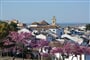 Foto - To nejlepší z Andalusie + GIBRALTAR + KOUPÁNÍ NA POBŘEŽÍ COSTA DEL SOL