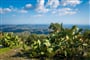 Foto - To nejlepší ze Sesimbry + NEJKRÁSNĚJŠÍ STEZKA ALGARVE + TRADIČNÍ KUCHYNĚ REGIONU