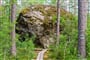 Foto - To nejlepší z Tallinu + NÁRODNÍ PARK LAHEMAA + HELSINKY