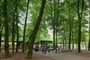 Foto - Královské Holandsko + VÝZNAMNÉ UMĚLECKÉ SBÍRKY + MODERNÍ ROTTERDAM