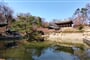 IMG 20260312 113506055 HDR