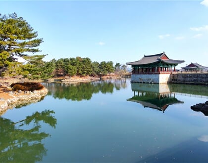 IMG 20260319 152912233 HDR
