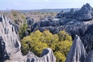 Tsingy de Bemaraha 06