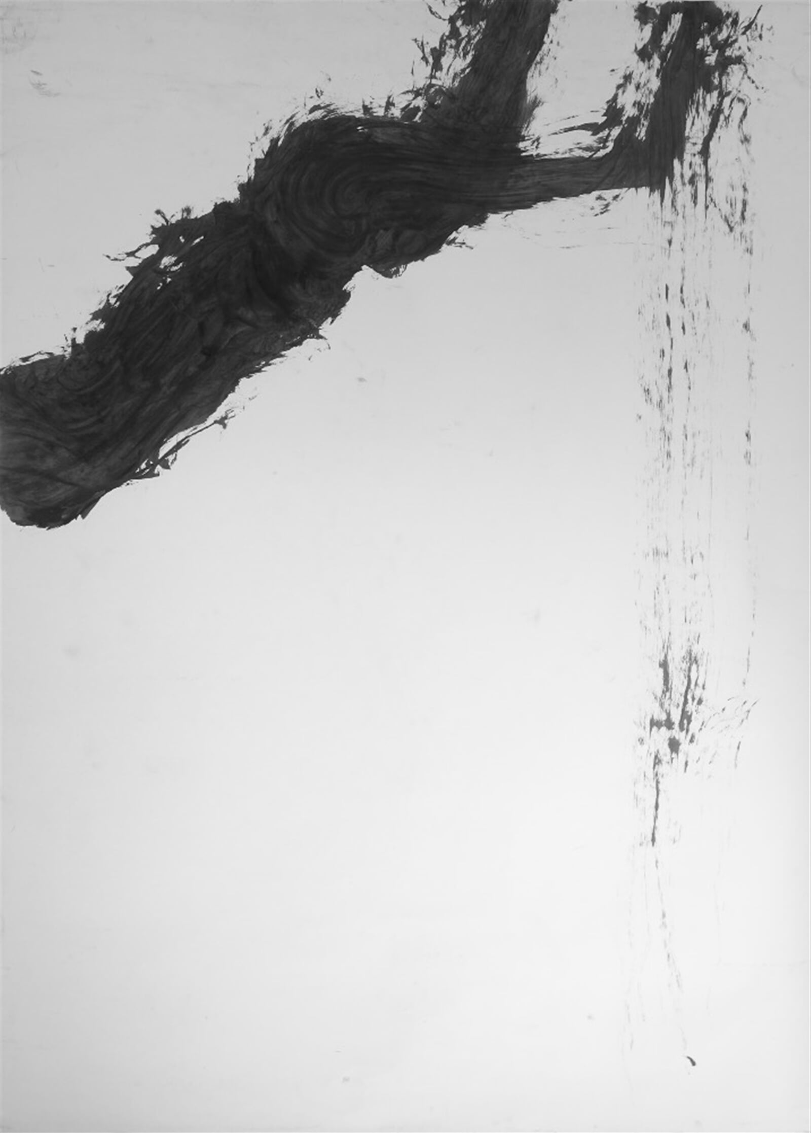 Pavel Trnka: Linie (Vrba), 300 × 196 cm