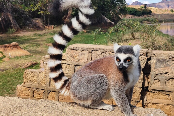 Madagaskar - to nej z jižní, západní i východní části ostrova