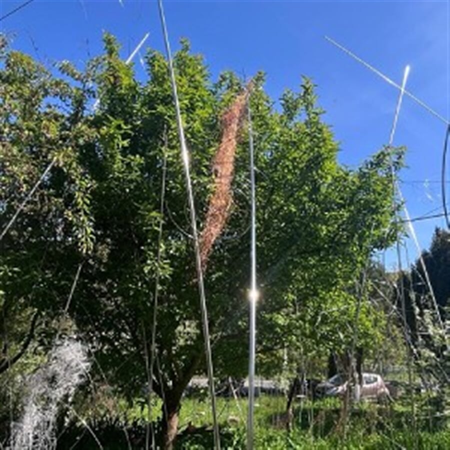 Aleš Hnízdil – světelná instalace v zahradě