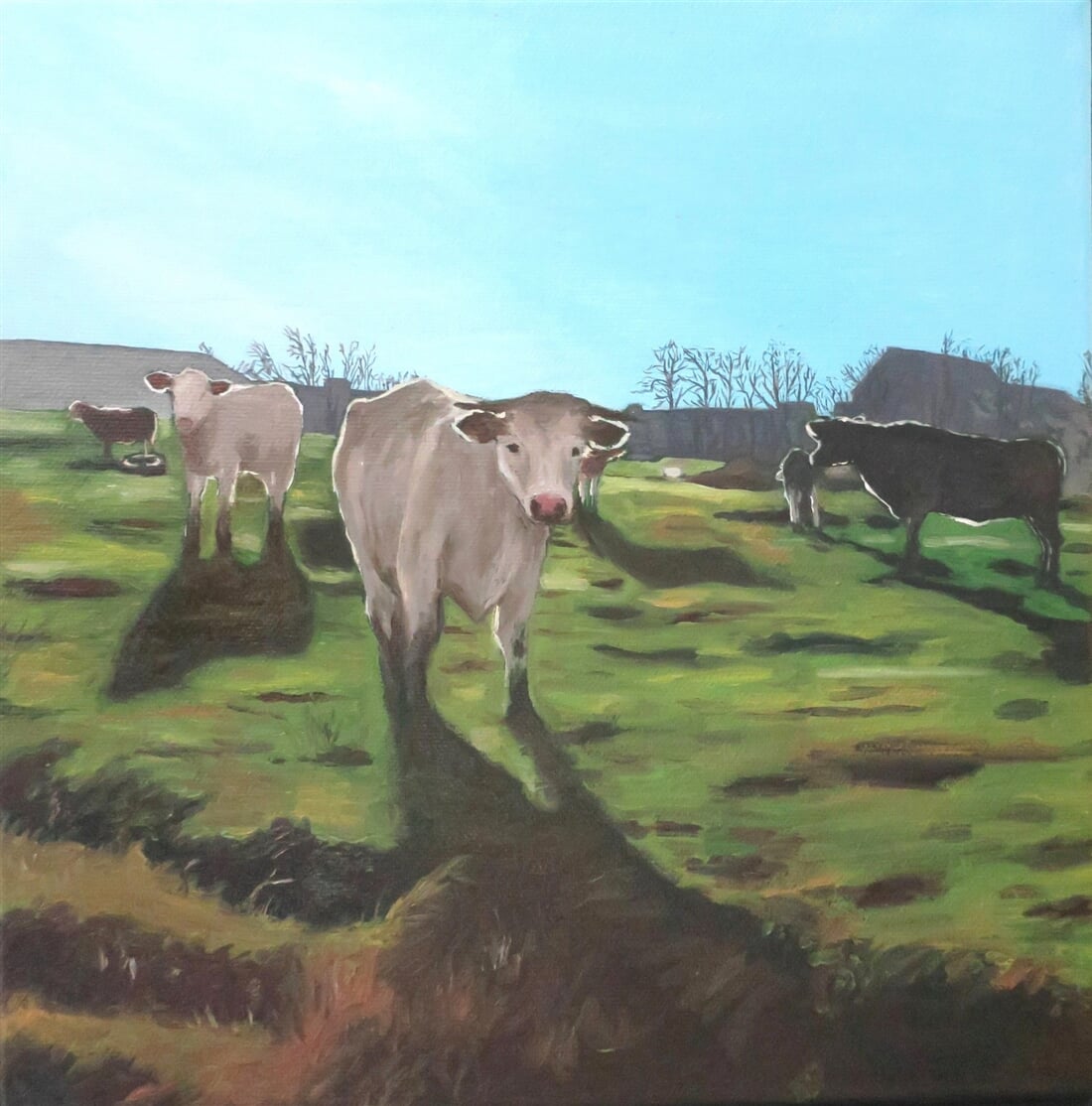 Daniela Štichová – Kravky z Borku (olej na plátně, 30 × 30 cm)