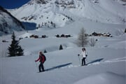 Val di Fiemme 06