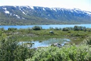 IMG_1772
