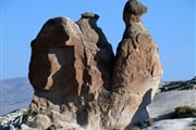 P8308271
