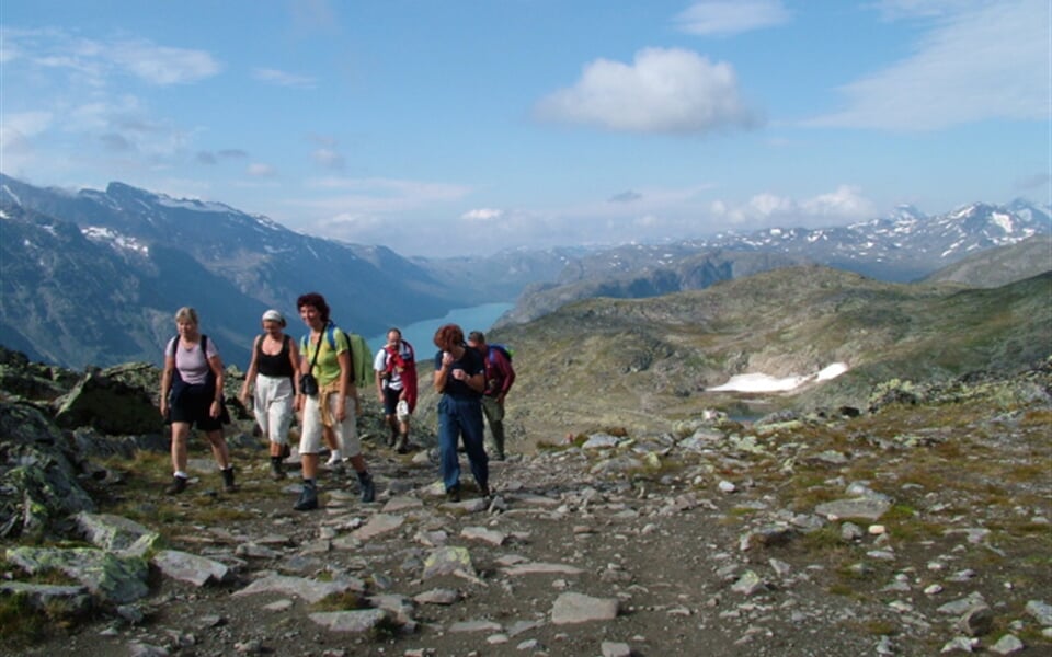 9011 (1) Turisté v norských horách