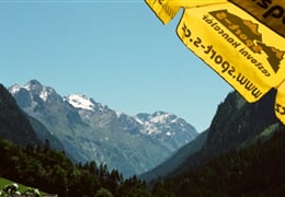 Pitztal léto - Alpenrose - léto v Alpách