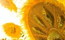 poznávací zájezd Itálie - zájezd Benátky karneval 14