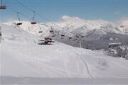 Vogel 06