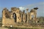 VOLUBILIS