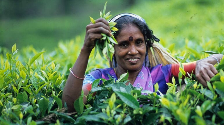 sri-lanka-cejlon-01