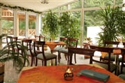 winter garden