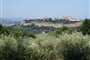 Itálie - Toskánsko - Orvieto uprostřed vinic a olivovníků