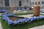 Itálie - Viterbo - květinové slavnosti San Pellegrino in Fiore