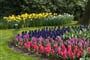 Holandsko  - Keukenhof