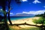 Kihei