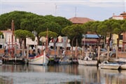 DSC 1443